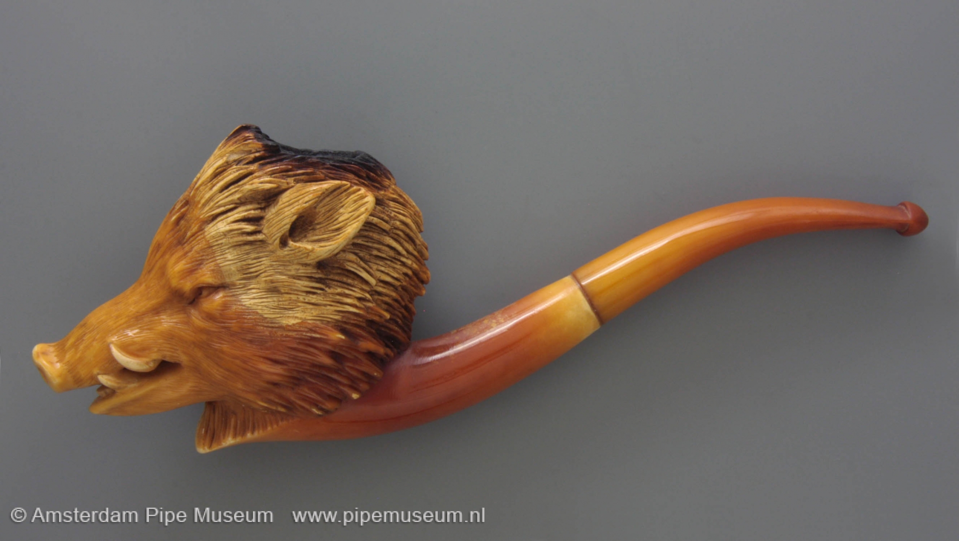 097-19.839-meerschaum-tobacco-pipe-zwijnskop-1