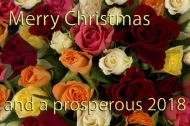 Christmas and New Year's greeting 