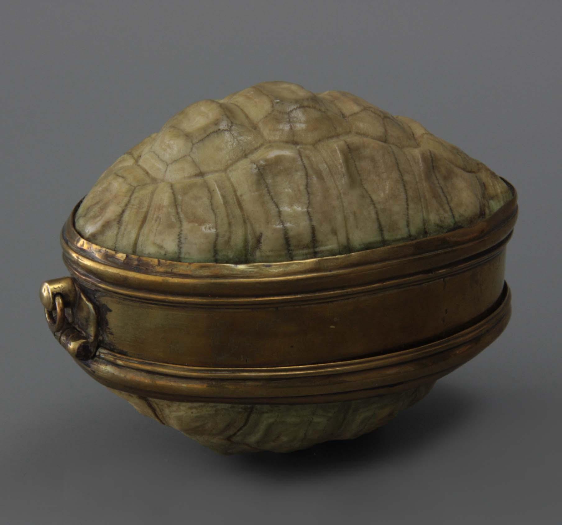 afb-01-20.719-tobaccobox-tortoise